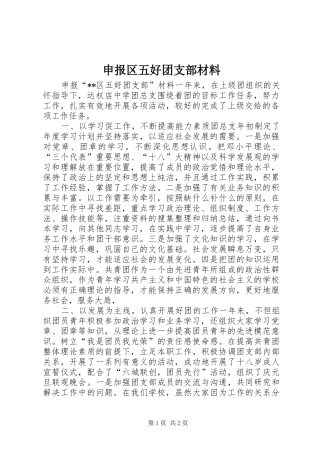 2024年申报区五好团支部材料