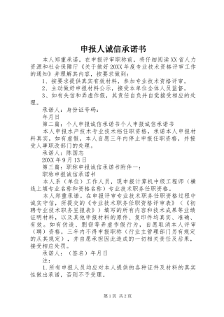 2024年申报人诚信承诺书