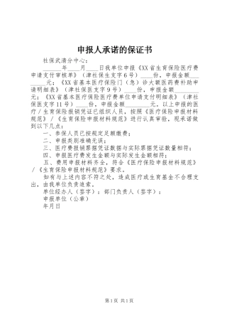 2024年申报人承诺的保证书