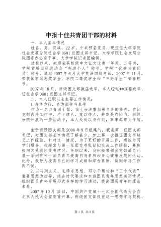 2024年申报十佳共青团干部的材料