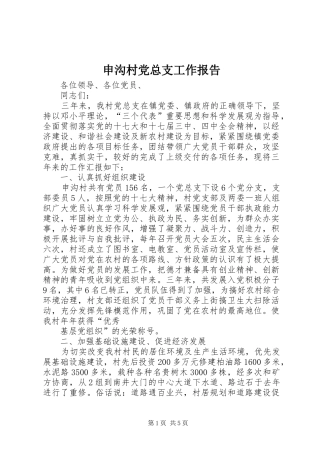 2024年申沟村党总支工作报告