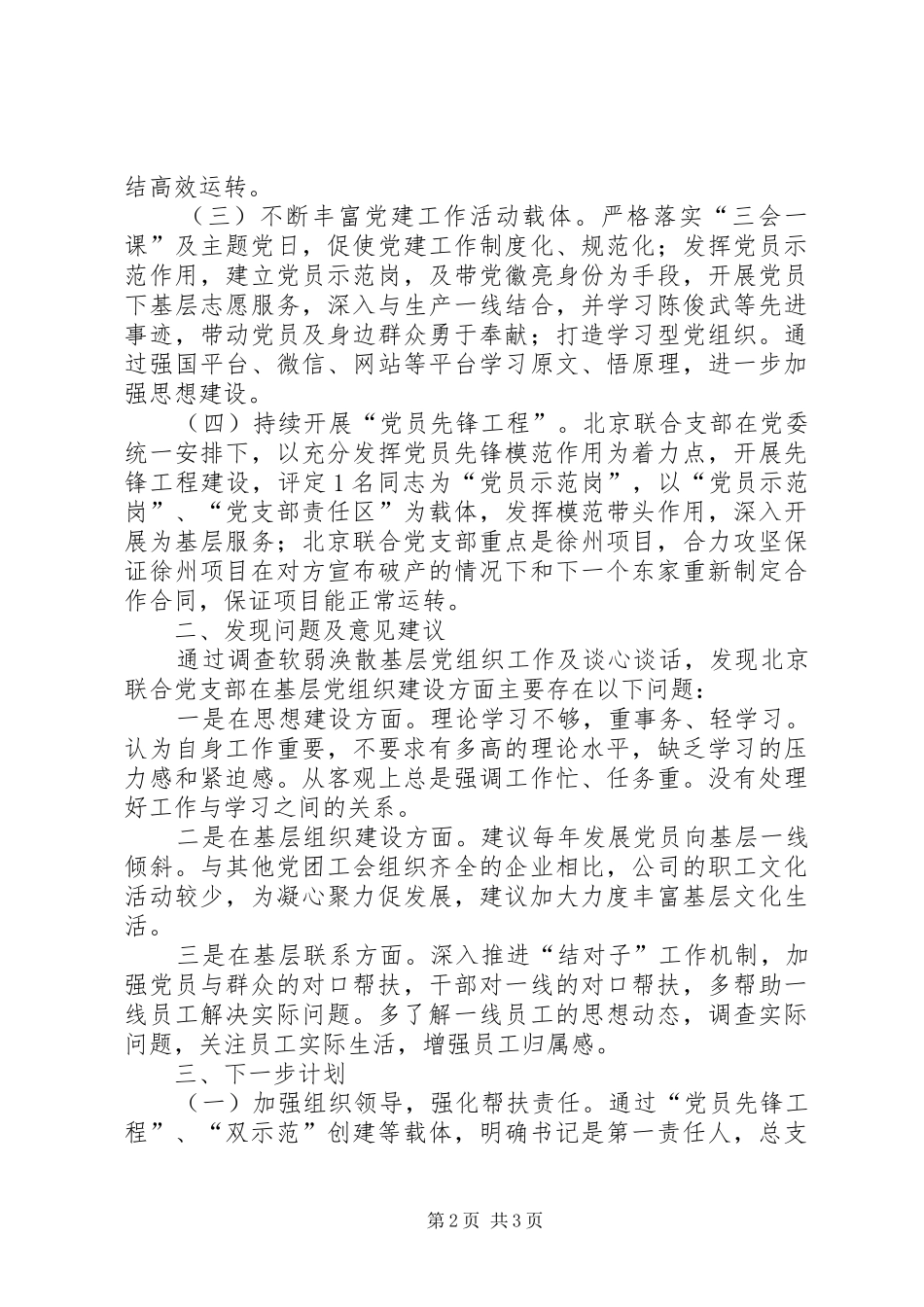 2024年联合党支部整顿软弱涣散组织总结_第2页