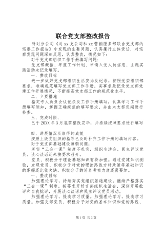 2024年联合党支部整改报告