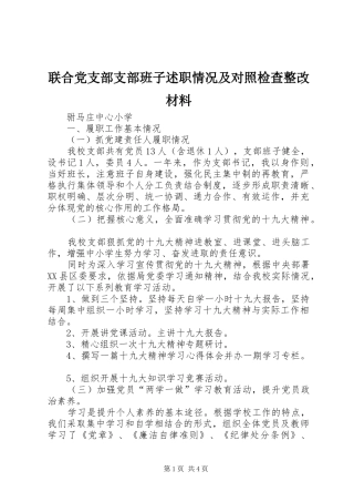 2024年联合党支部支部班子述职情况及对照检查整改材料