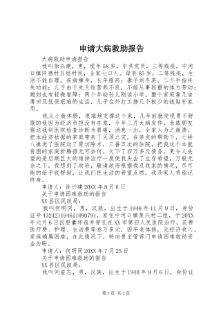 2024年申请大病救助报告