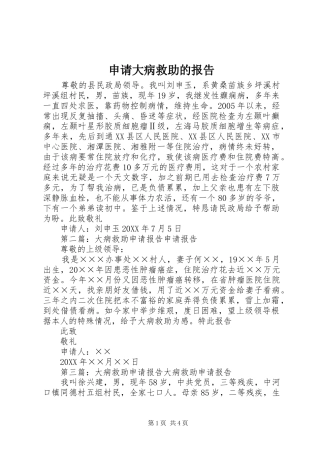 2024年申请大病救助的报告