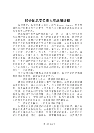 2024年联合团总支负责人竞选演讲稿