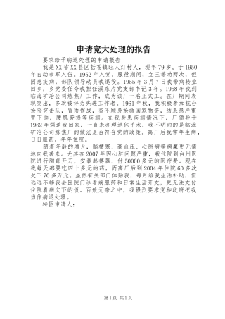 2024年申请宽大处理的报告