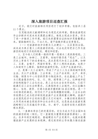 2024年深入旅游项目巡查汇报