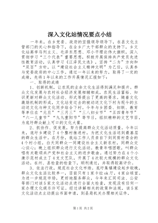 2024年深入文化站情况要点小结