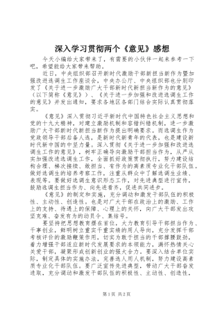 2024年深入学习贯彻两个意见感想