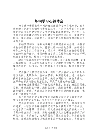 2024年炼钢学习心得体会