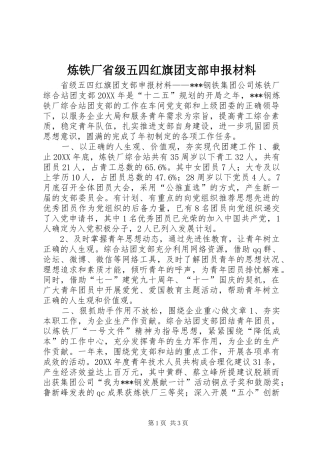2024年炼铁厂省级五四红旗团支部申报材料