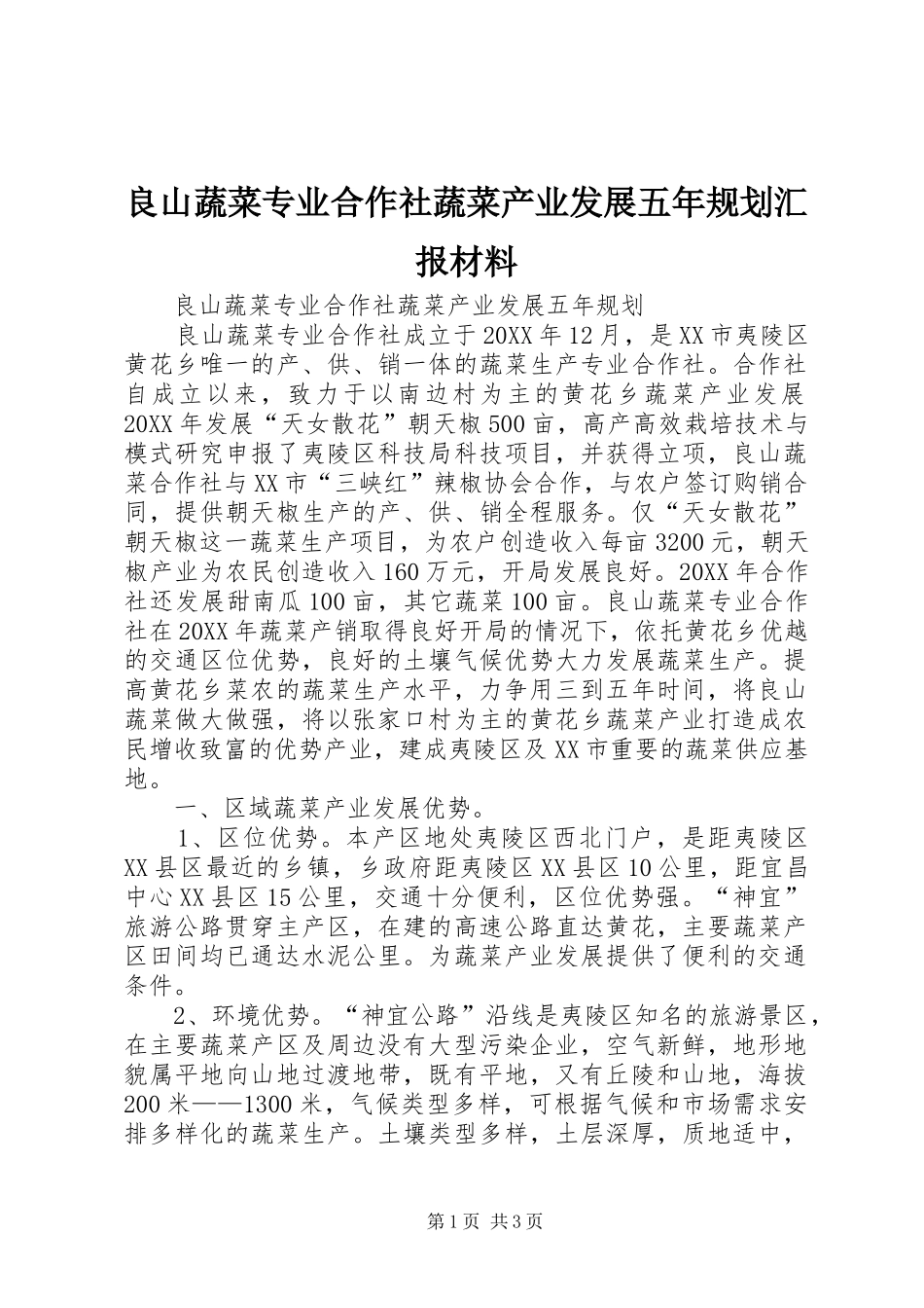 2024年良山蔬菜专业合作社蔬菜产业发展五年规划汇报材料_第1页