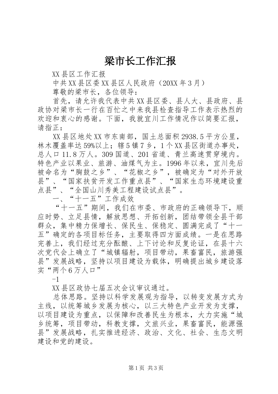 2024年梁市长工作汇报_第1页