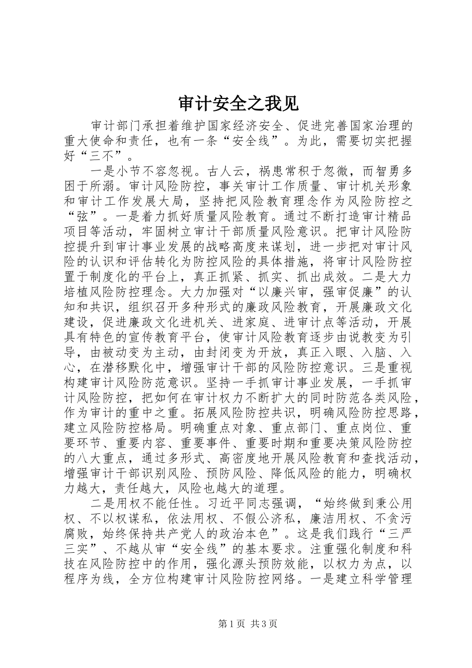 2024年审计安全之我见_第1页