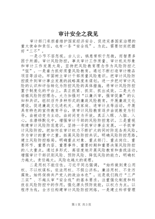2024年审计安全之我见