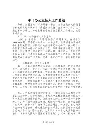 2024年审计办公室新人工作总结