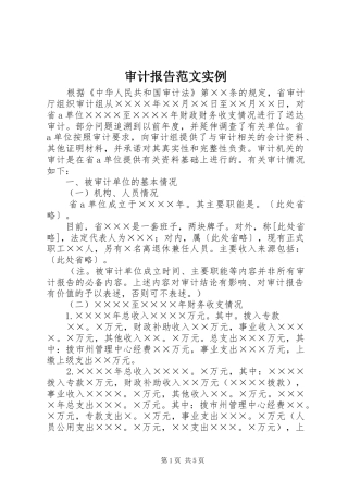 2024年审计报告范文实例