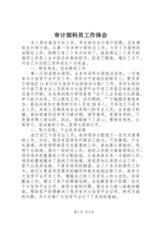 2024年审计部科员工作体会