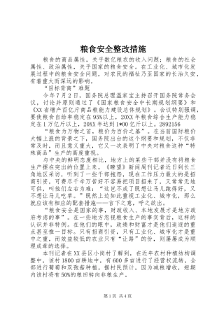 2024年粮食安全整改措施