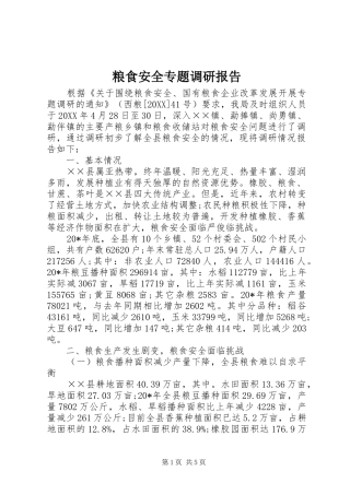 2024年粮食安全专题调研报告