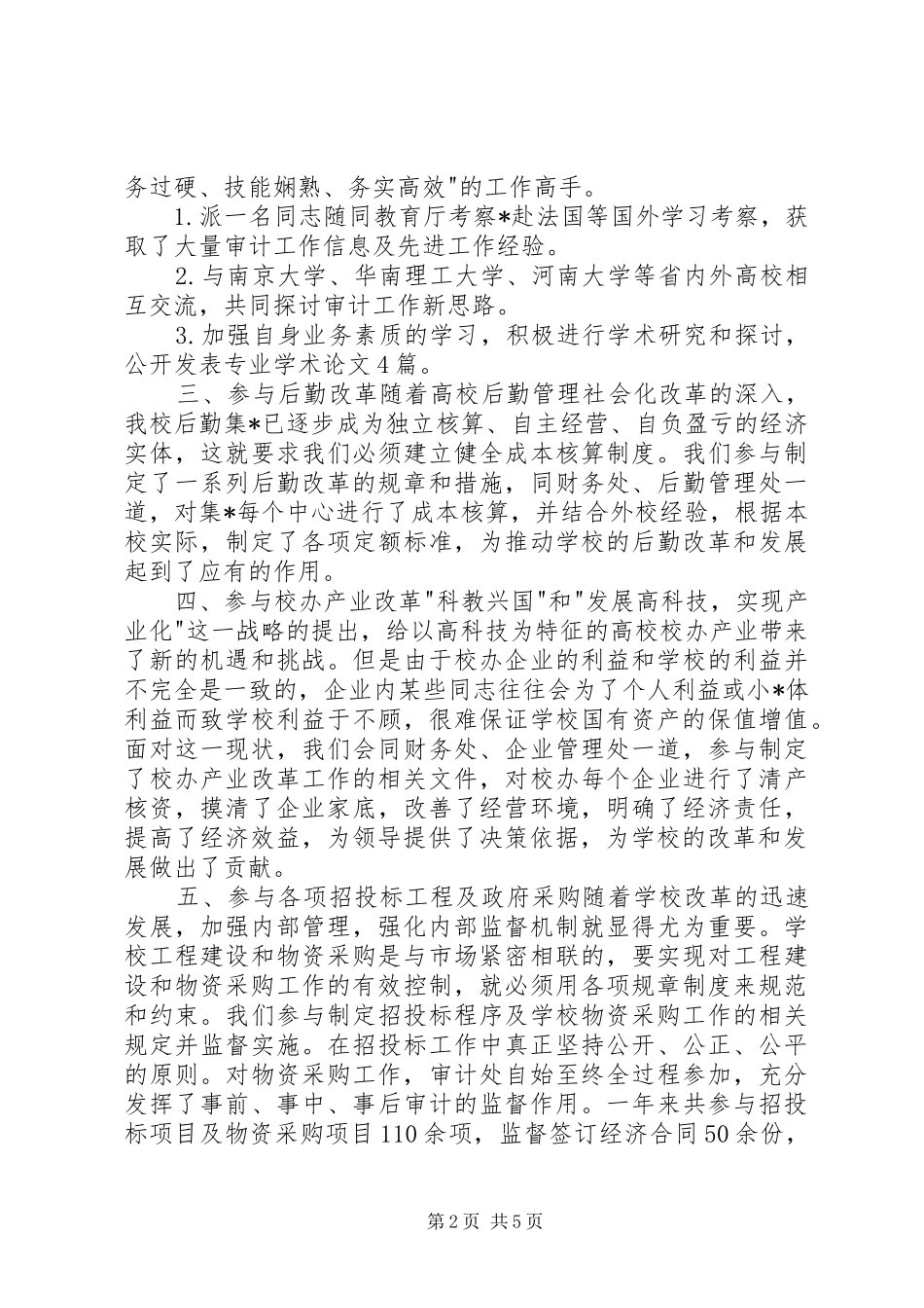 2024年审计处工作总结_第2页