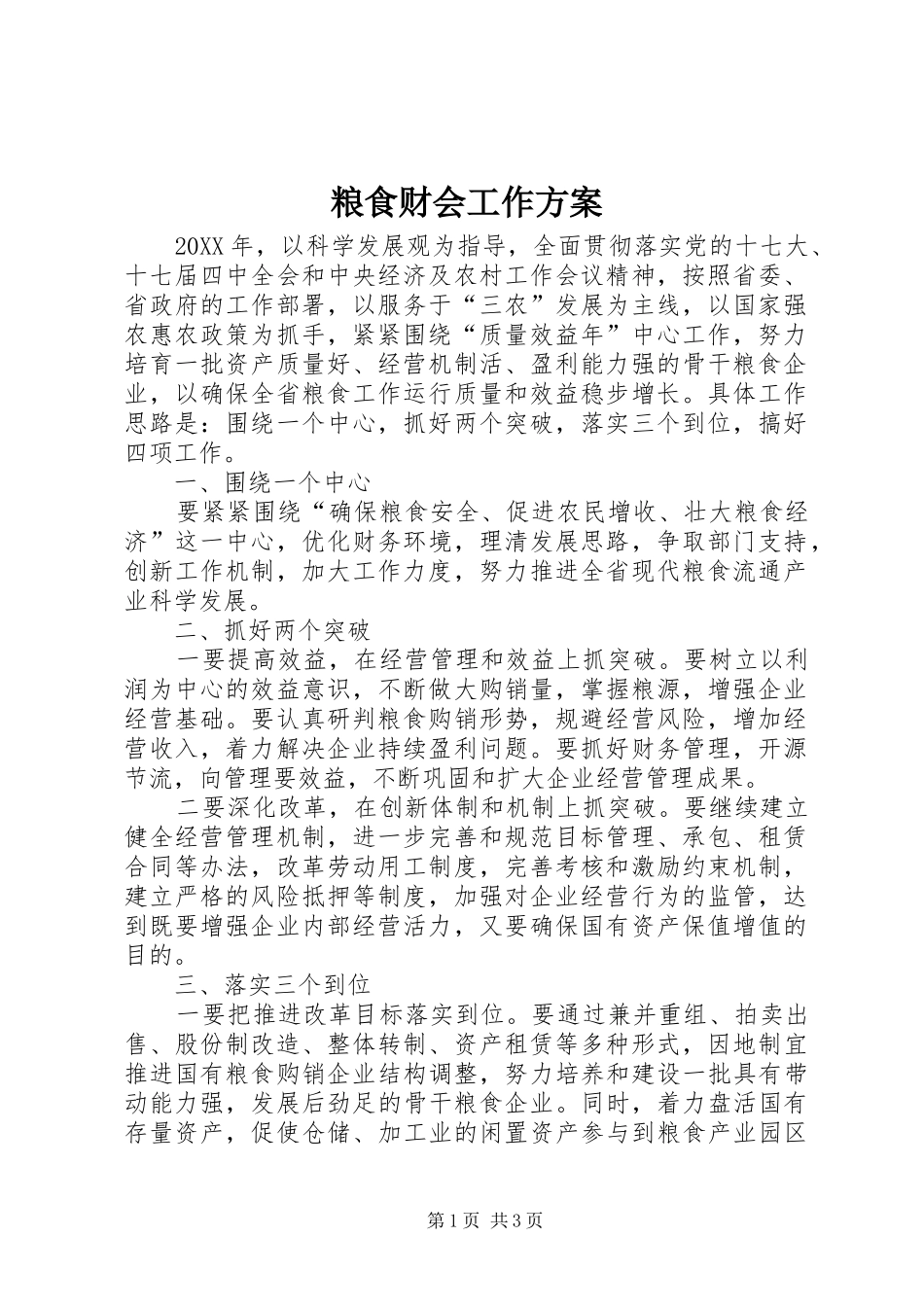 2024年粮食财会工作方案_第1页