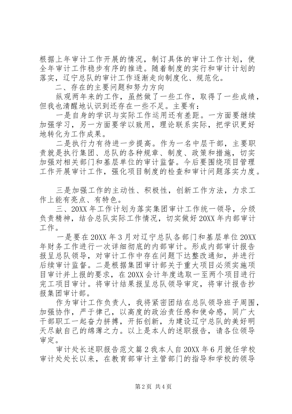 2024年审计处长述职报告范文_第2页