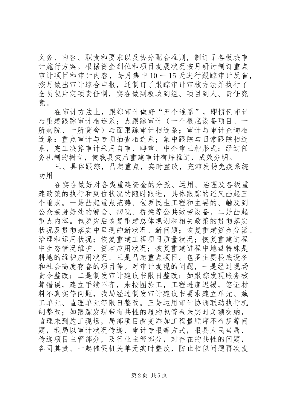 2024年审计创新实干经验交流_第2页