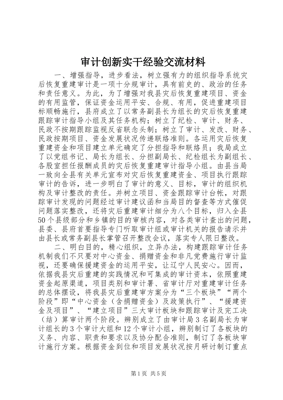 2024年审计创新实干经验交流材料_第1页