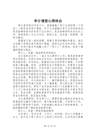 2024年审计调查心得体会