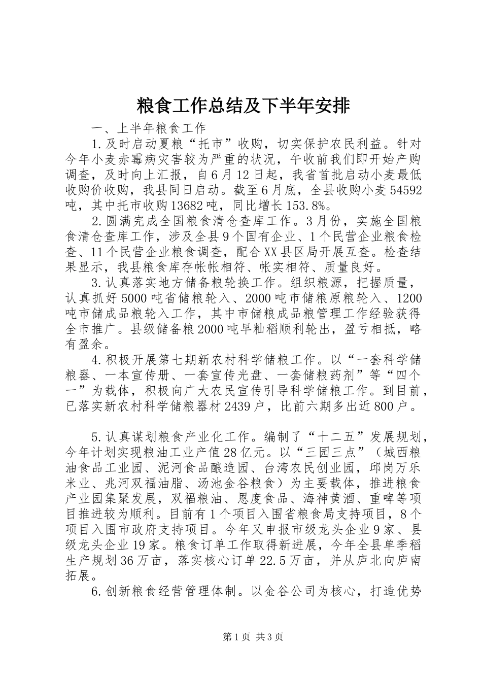 2024年粮食工作总结及下半年安排_第1页