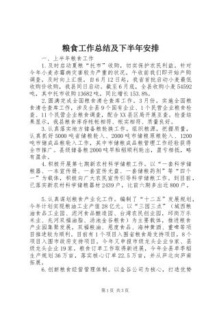 2024年粮食工作总结及下半年安排