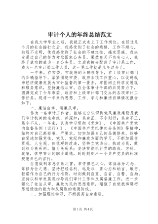 2024年审计个人的年终总结范文