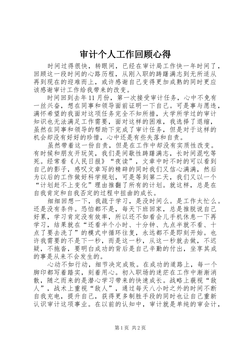 2024年审计个人工作回顾心得_第1页