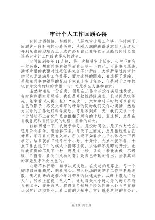 2024年审计个人工作回顾心得