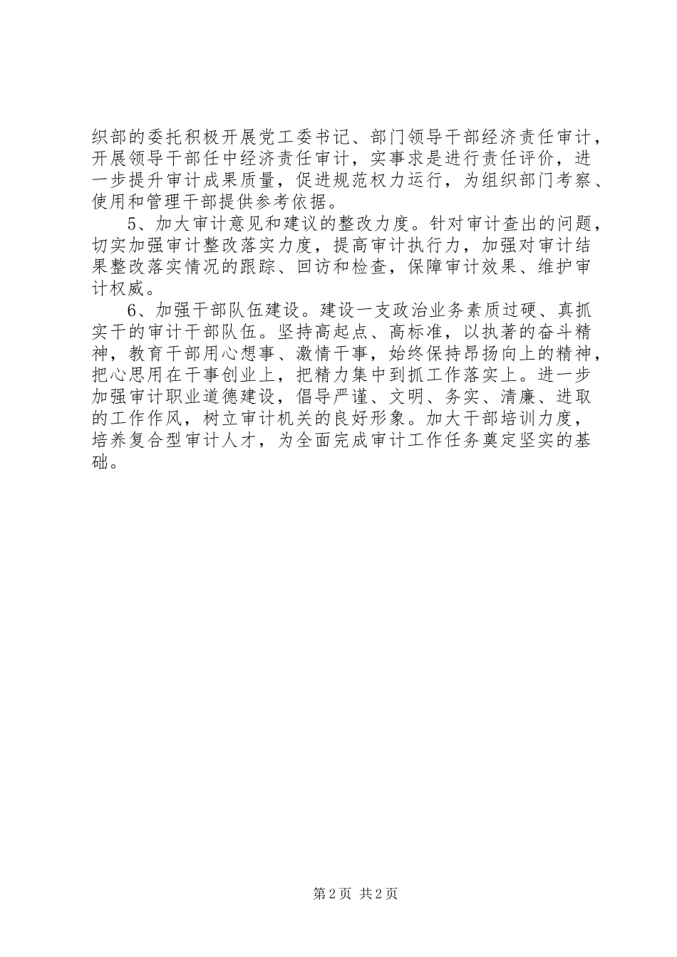 2024年审计工作打算工作重点_第2页