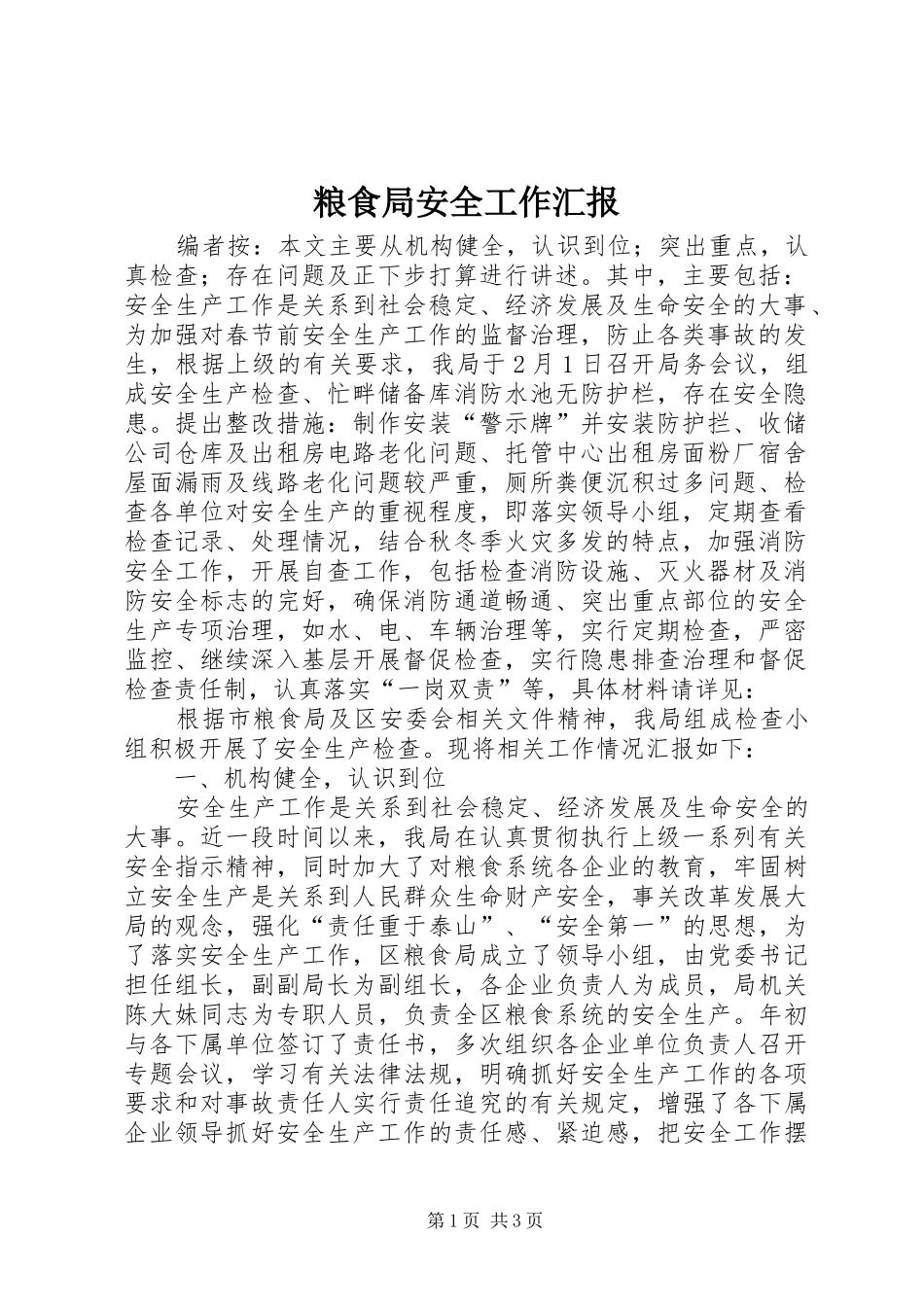 2024年粮食局安全工作汇报_第1页