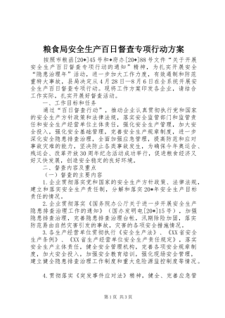 2024年粮食局安全生产百日督查专项行动方案