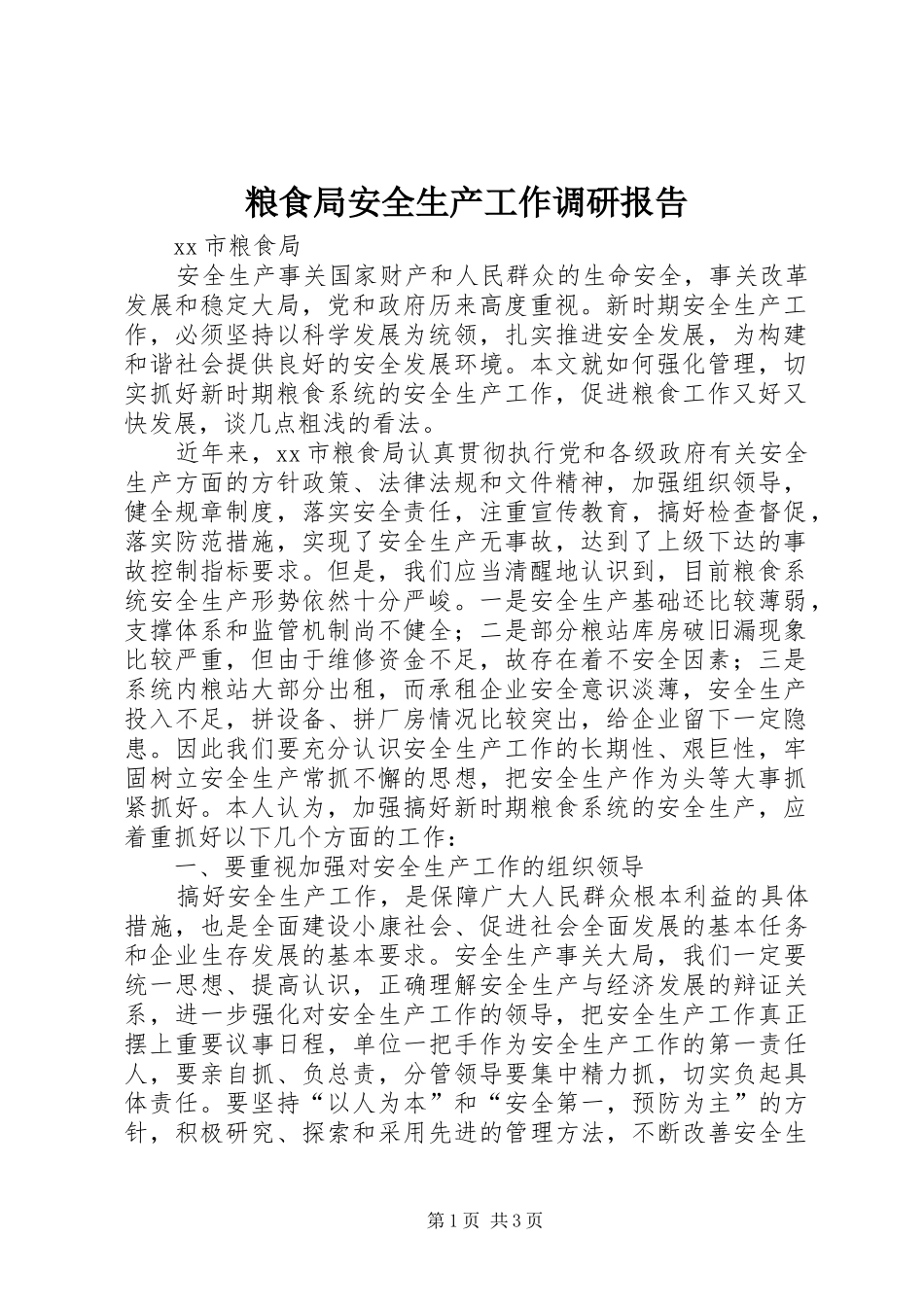 2024年粮食局安全生产工作调研报告_第1页