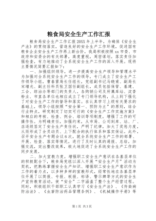 2024年粮食局安全生产工作汇报