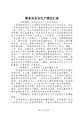 2024年粮食局安全生产情况汇报