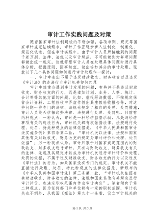 2024年审计工作实践问题及对策