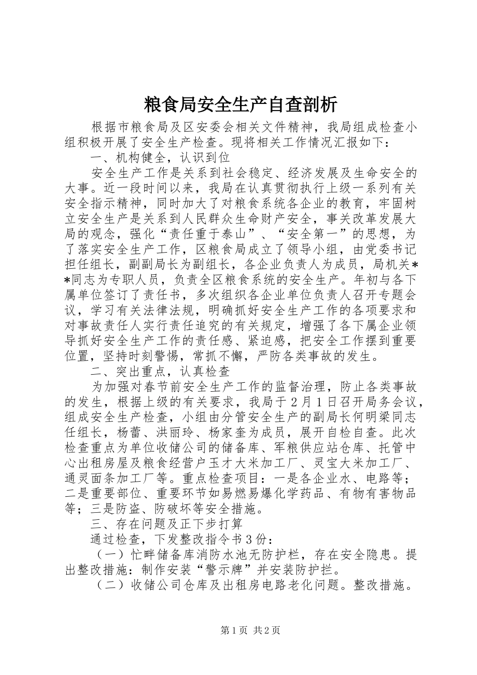2024年粮食局安全生产自查剖析_第1页