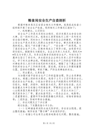 2024年粮食局安全生产自查剖析