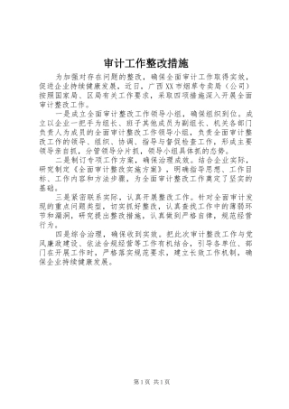 2024年审计工作整改措施