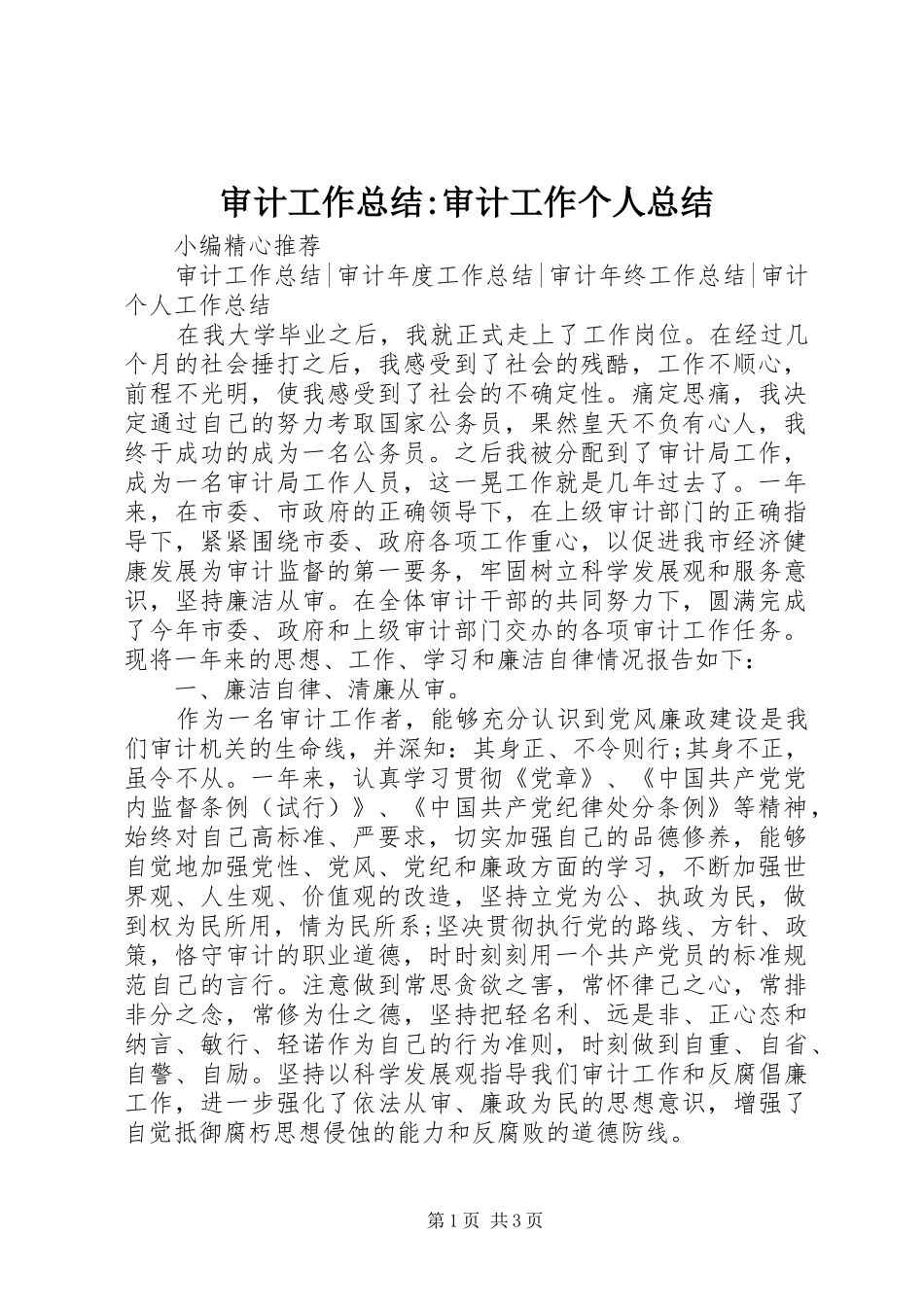 2024年审计工作总结审计工作个人总结_第1页