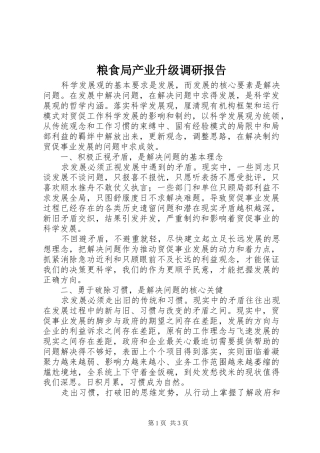 2024年粮食局产业升级调研报告