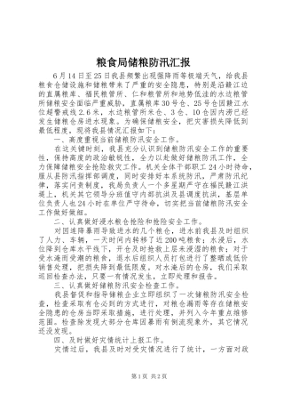 2024年粮食局储粮防汛汇报